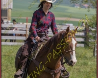 2NODS 0335
